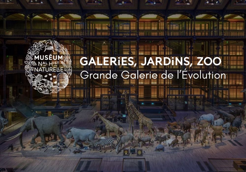 Grande galerie de l'Evolution , Jardin des Plantes