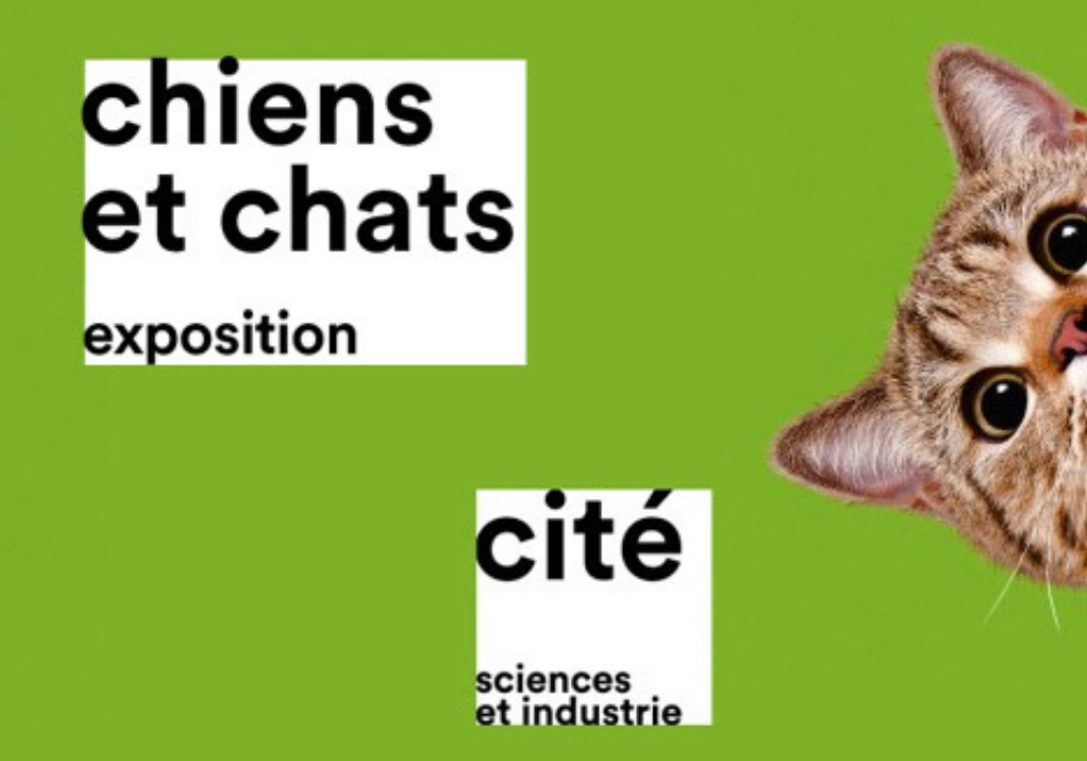 Expo - Chiens et Chats